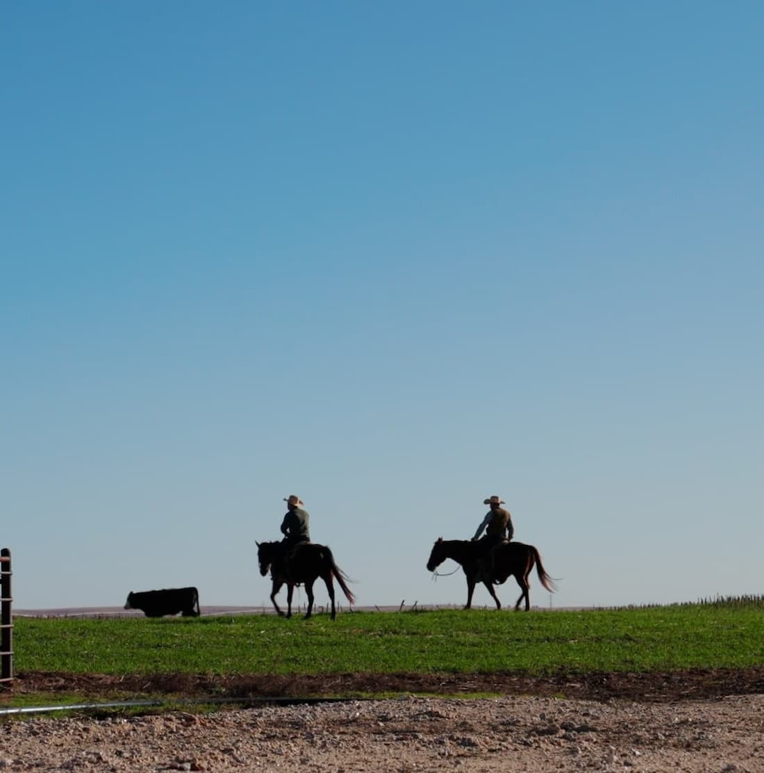 A peaceful hay field with a blue sky.