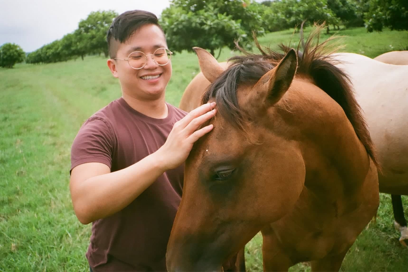 Dylan meeting the horses of Hāna Ranch