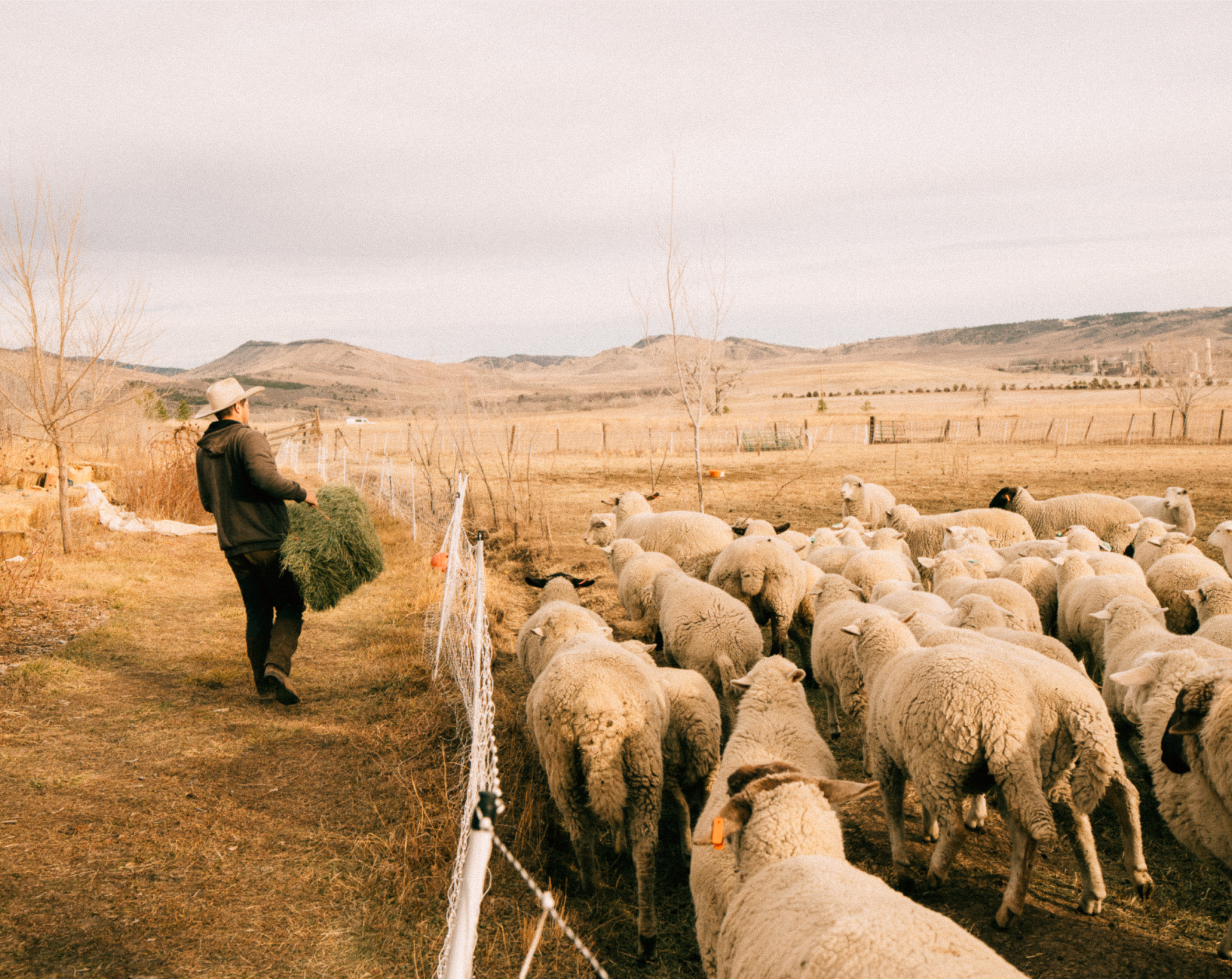Business owners and crews working across fields, job sites, and ranch operations