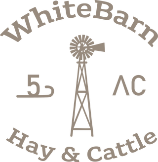 Logo for WhiteBarn Hay & Cattle, an Ambrook customer.