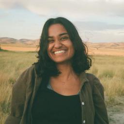Ayushi Mittal, Ambrook team member