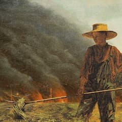 Illustrative image of a person looking out a window at a field